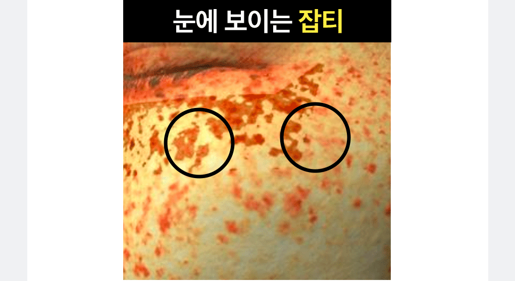레티놀 비타 아이패치 25